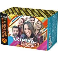 Салют Встреча друзей New ОС8541 купить от производителя Огненный Цветок — Красноармейск