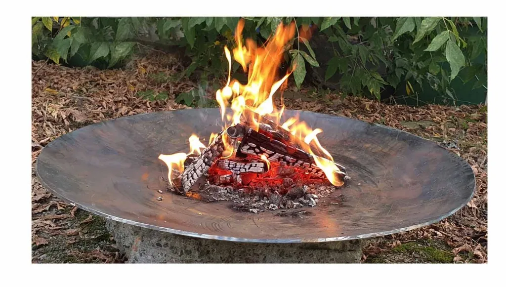 Кованная чаша для костра - авторский дизайн доставка в Красноармейск